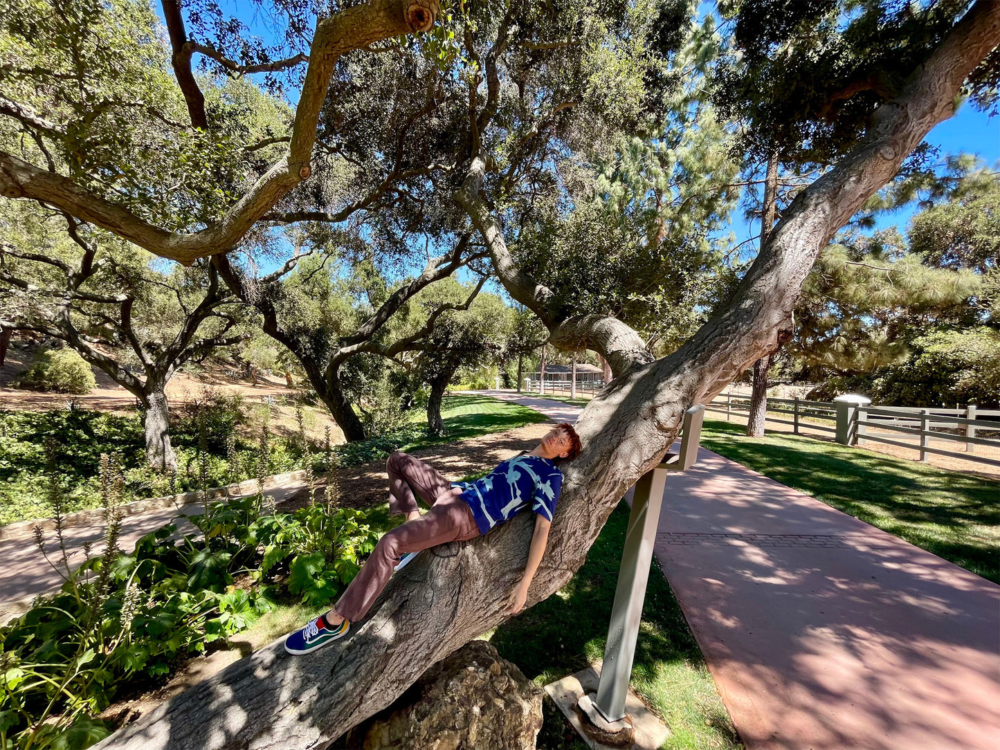 IPHONE 12 | 128 GB | YURTİÇİ | 12 AY GARANTİ